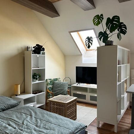 Utulny Apartman V Centre Kezmarku Kežmarok Extérieur photo